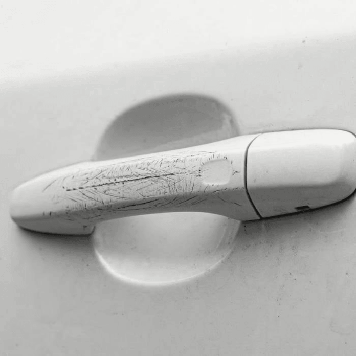 nanopolix step 1